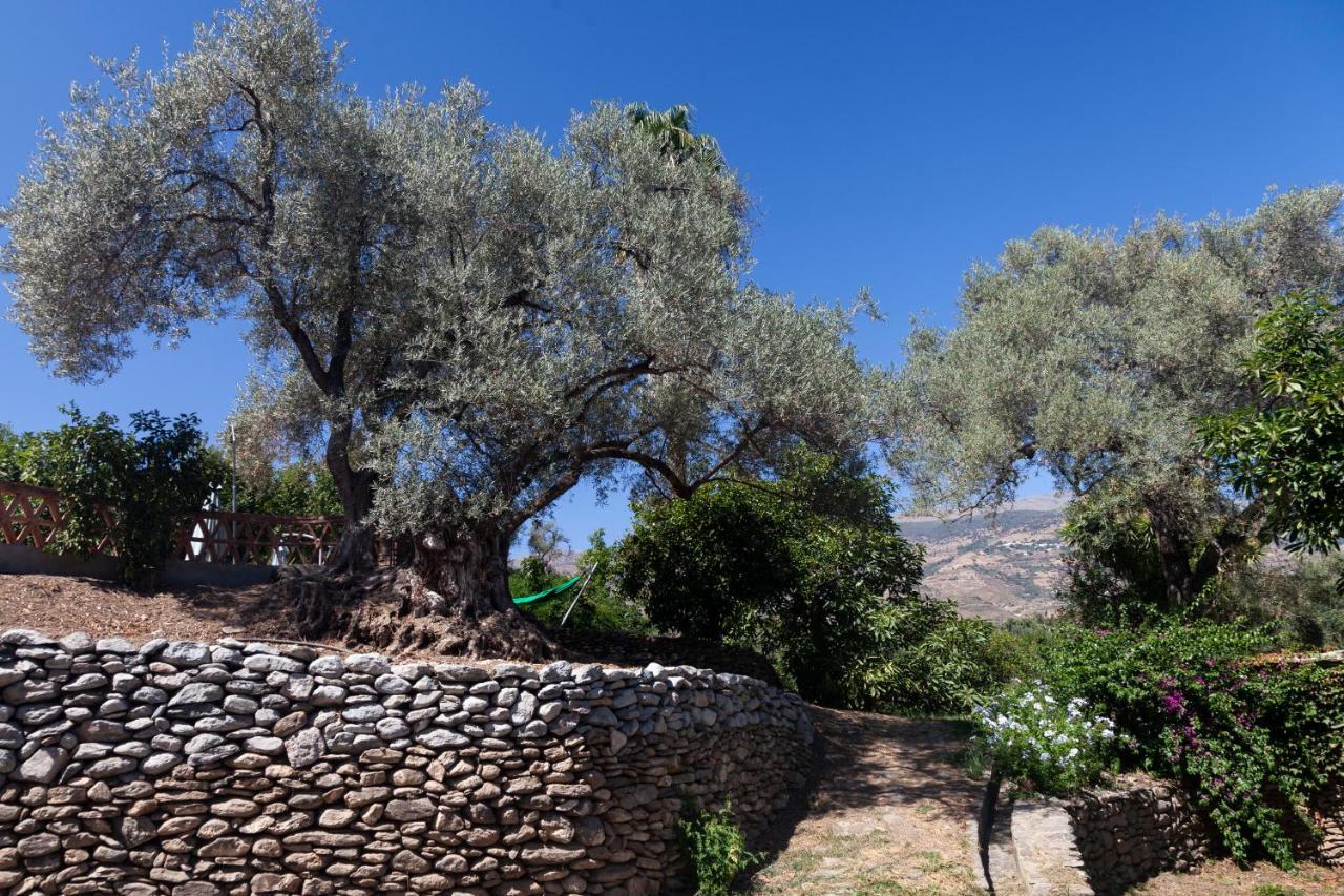 Cortijo El Azahar Villa Orgiva Exterior photo